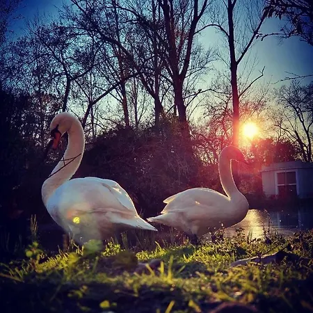 Bordallo's - Centro Apartment *