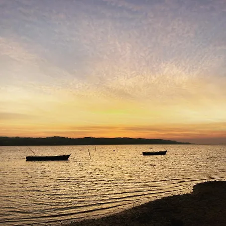 Bordallo's - Centro Apartment