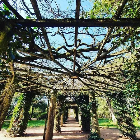 Bordallo's - Centro Apartment *