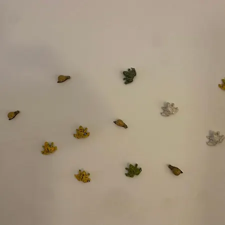 Daire Bordallo's - Centro *