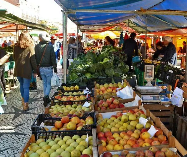 شقة Bordallo's - Centro كالداس دا راينها